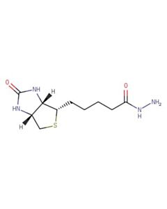 Astatech BIOTIN HYDRAZIDE; 1G; Purity 95%; MDL-MFCD00078532